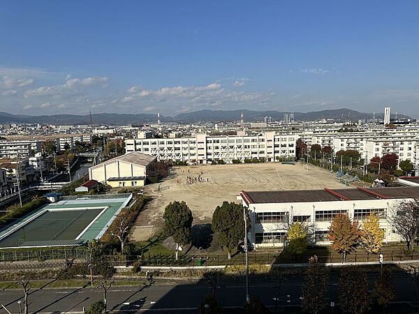 高槻市立玉川小学校　２３０ｍ