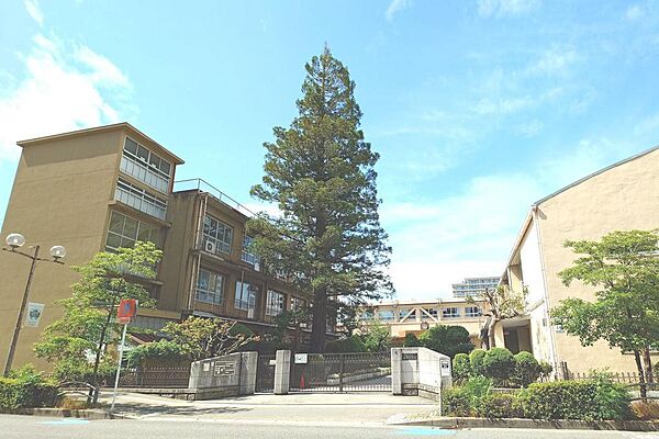 茨木市立養精中学校　１８０ｍ
