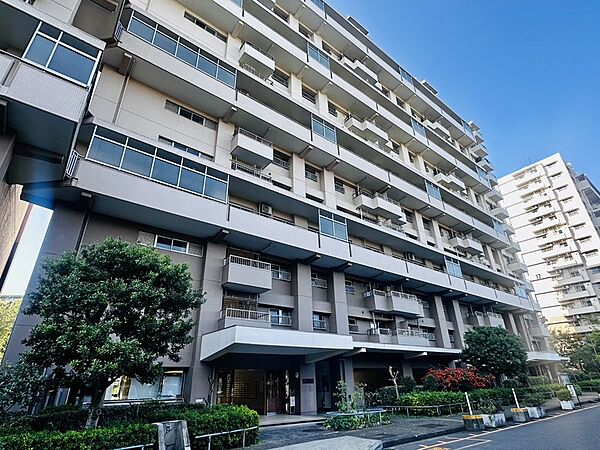 外観：314002526163