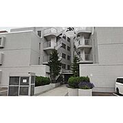 東屯田通駅より徒歩3分 4階 築34年11ヶ月の賃貸物件