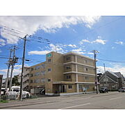 スカイコートハコザキ 1階 築35年8ヶ月の賃貸物件