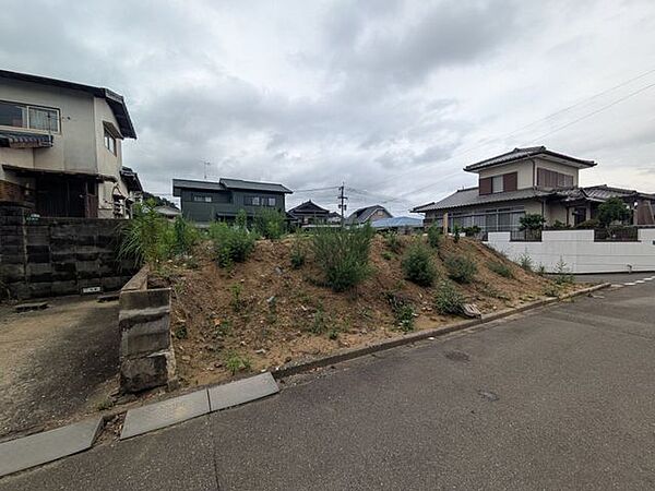 現地写真