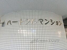 12 / 17