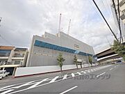 十条駅より徒歩4分 6階 新築の賃貸物件