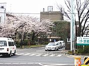 京都きづ川病院まで1100メートル