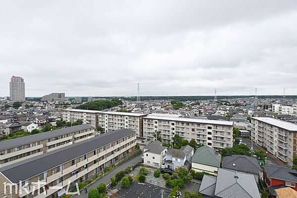 抜けるような眺望はマンションならではですね！高層階ならではの眺望をご堪能下さい！