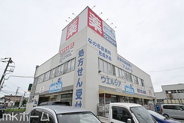 ウエルシア沼南店 徒歩24分。 1860m