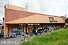 周辺：ワイズディスカ飯山満店 徒歩10分。 730m