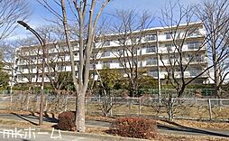 北柏ライフタウン松葉町1丁目第一団地11号棟