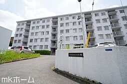 パイロットハウス柏