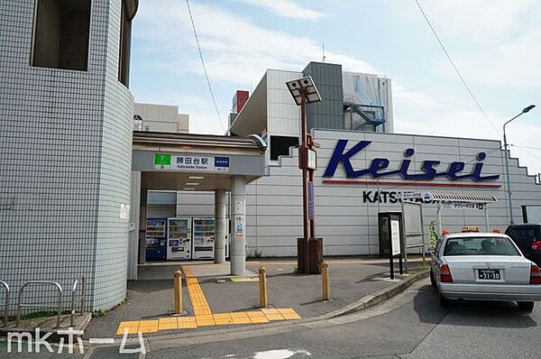 東葉勝田台駅(東葉高速鉄道 東葉高速線) 徒歩15分。 1190m