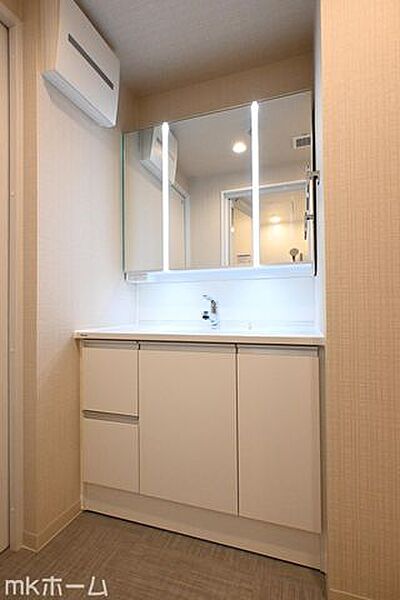 大きな鏡と洗面台が付いた洗面化粧台は収納も豊富！買い置きした日用品などまとめて収納する事が出来ます！