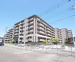 パデシオン桃山南