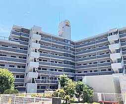 近鉄京都線 向島駅 徒歩10分の賃貸マンション