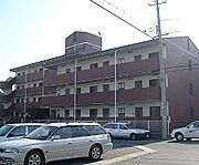 CourtflatsTANABE1号棟 2階 築35年3ヶ月の賃貸物件