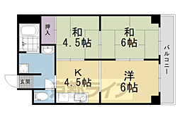 西京極ガーデンハイツ 5階