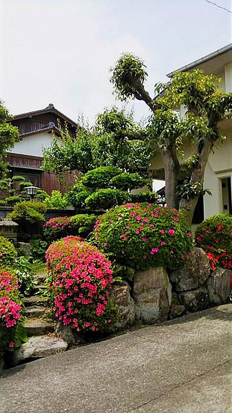 外観：335000030151