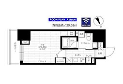 東京メトロ南北線 六本木一丁目駅 徒歩4分の賃貸マンション 11階1Kの間取り