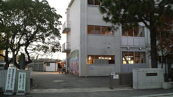 画像17:【小学校】徳島市立城東小学校まで453ｍ