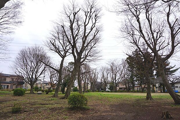 志津自然園250m徒歩4分