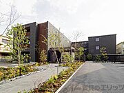 ライフステージ東和の賃貸物件