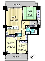 サーパス牛田天水苑 8階3LDKの間取り