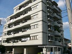 サングリーンII