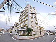 ライオンズマンション青山第3 8階 築33年2ヶ月の賃貸物件