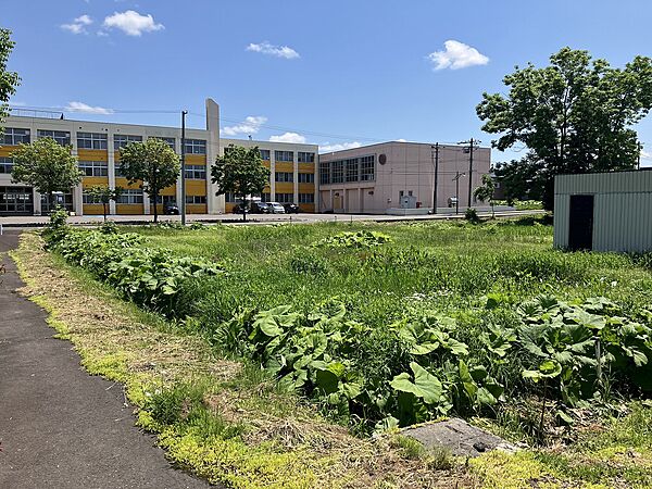 月形小学校が目の前にあります！