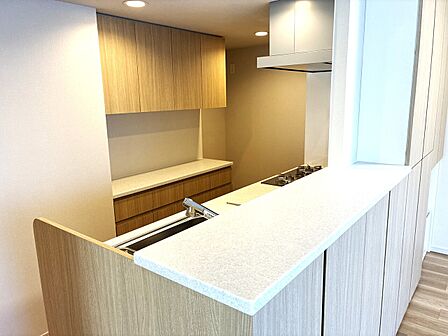 キッチン背面には造付食器棚、コンロ横にはパントリーとしても使用できる物入があります
