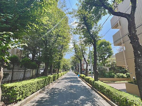 前面道路