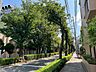 その他：前面道路