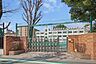 周辺：豊島区立仰高小学校 350m