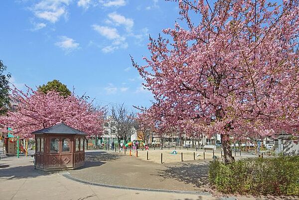 豊島区立染井よしの桜の里公園 550m