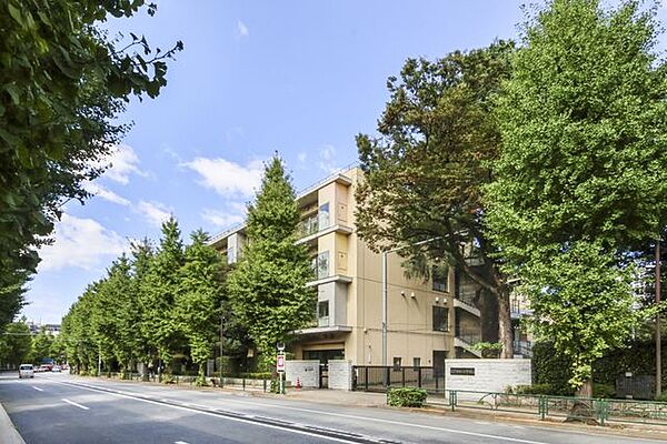 豊島区立目白小学校 230m
