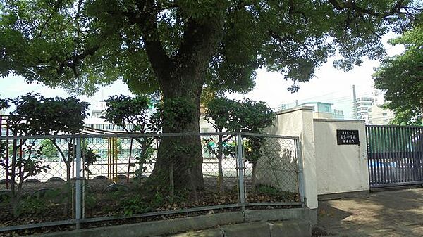 松原小学校 230m