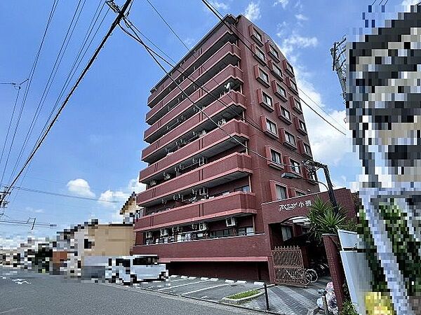 外観：323000524024