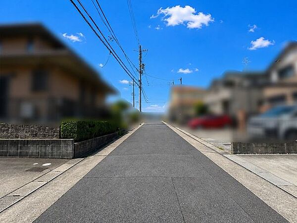 西側前面道路