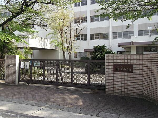廿軒家小学校 350m