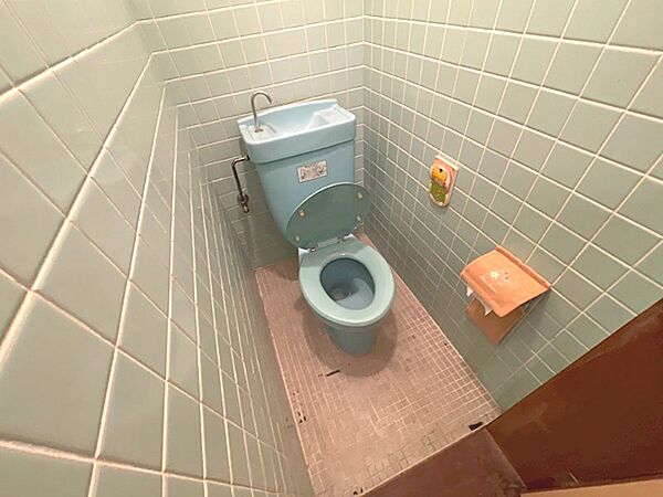 淡いブルーのタイルとトイレが特徴的な空間です。清潔感があり、快適にお使いいただけます。
