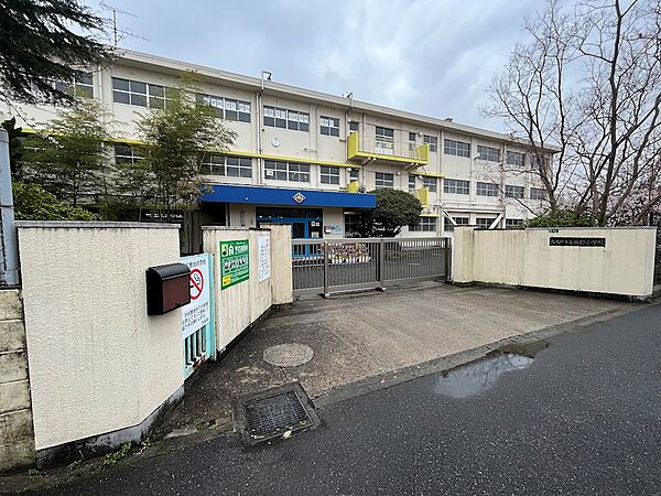 北九州市立城野小学校（251m）