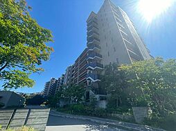 ペットと暮らす豊かな住環境!公園や学校が身近に揃う街