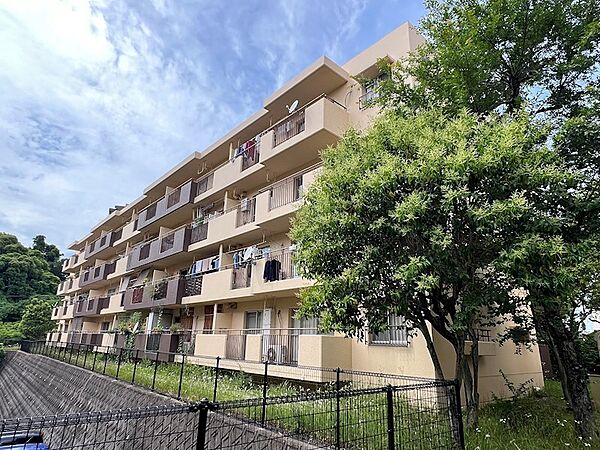 外観：340000284186