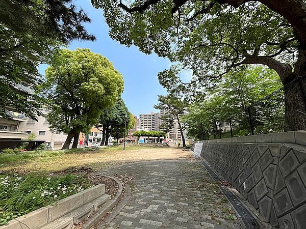 浅生2号公園（879m）
