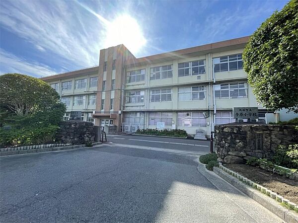 苅田町立新津中学校（908m）