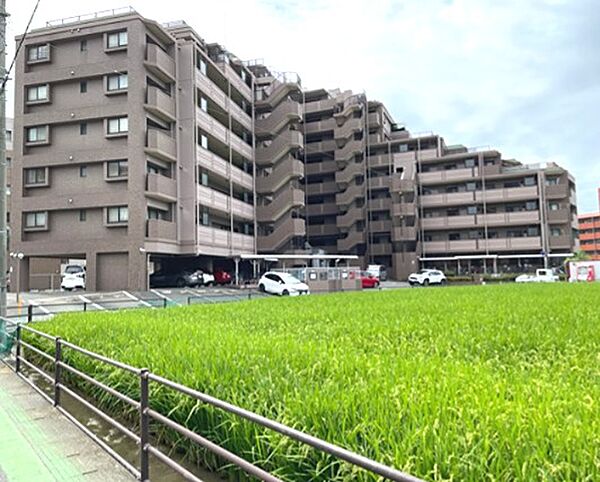 外観：340000299743