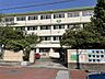 周辺：北九州市立大里東小学校（633m）