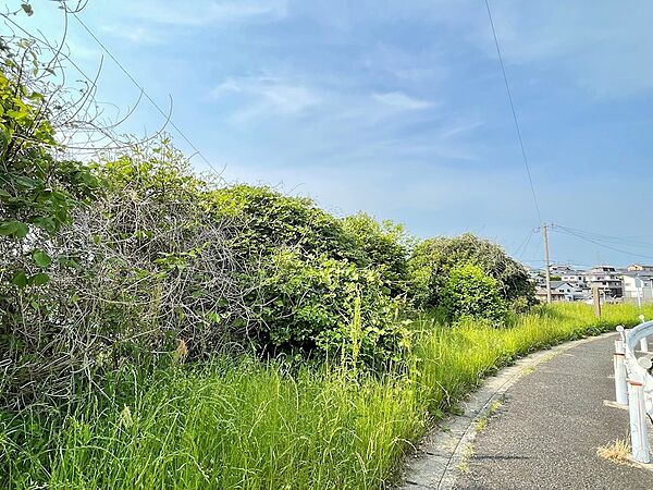 下上津役1号緑地（2085m）