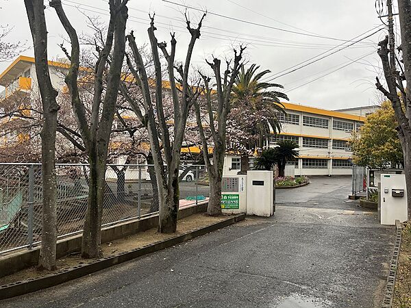 北九州市立若園小学校（380m）