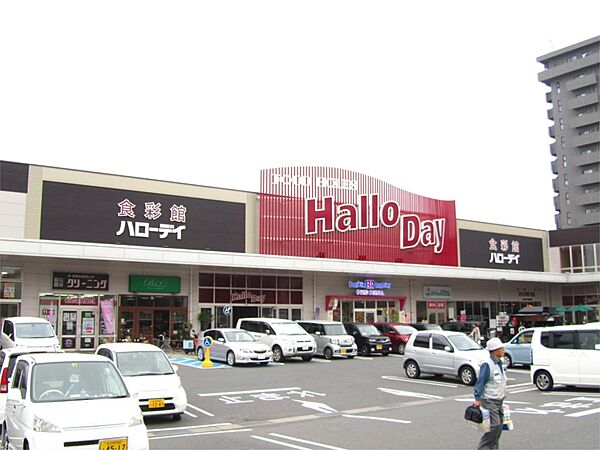 ハローデイ共立大前店（504m）